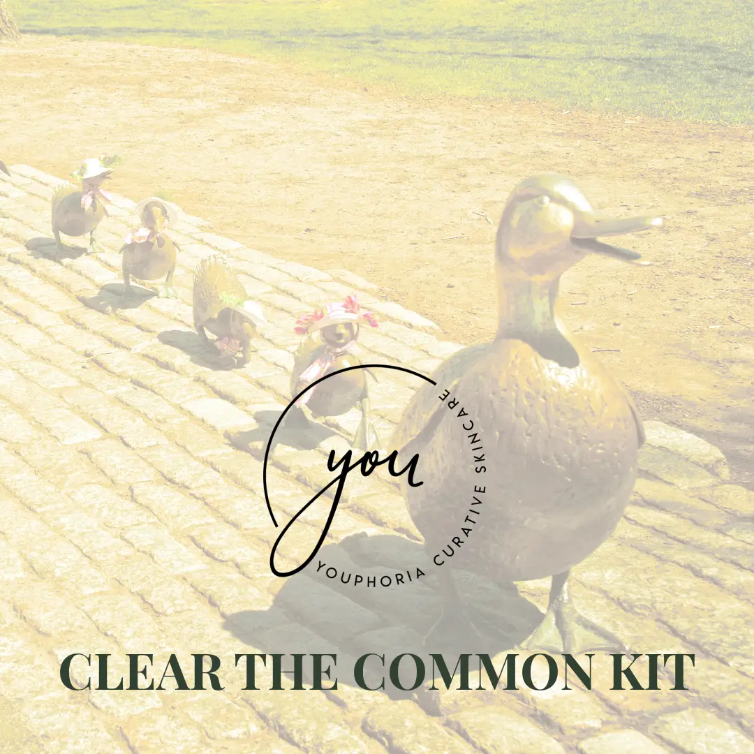 Boston Common duck statues representing the Clear the Common acne clearing skincare kit by YOUphoria Curative Skincare