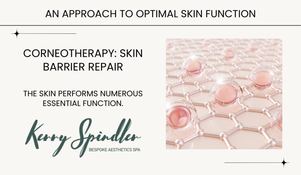 Kerry Spindler’s Corneotherapy Approach to Skin