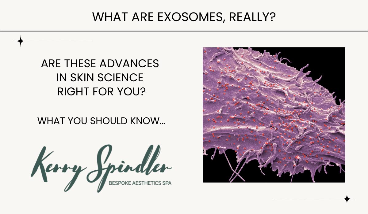 exosomes skincare