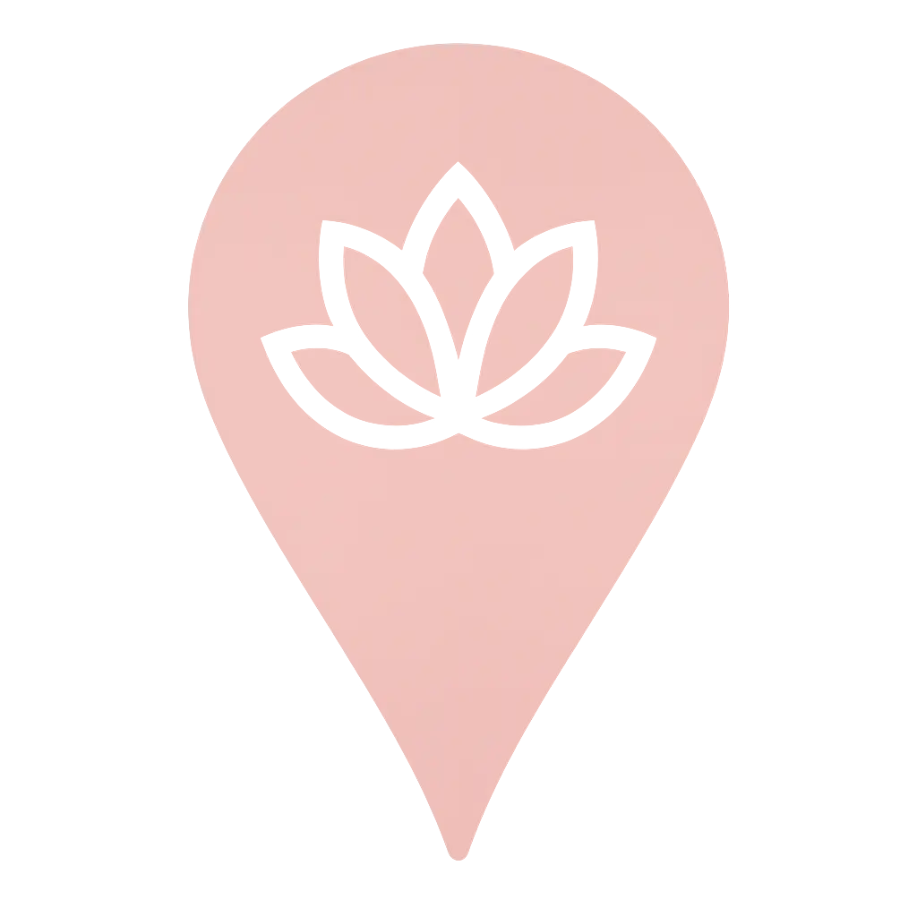 icon google maps